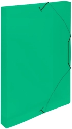 Boks med gummiløkke A4 Lines grøn