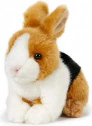 plysbamse-kanin brun-sort-hvid 15 × 17 cm