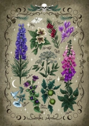 Puslespil Giftsige Planter 1000 brikker