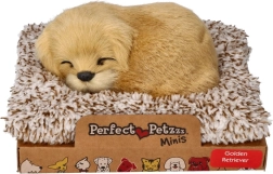 Bjeffende Golden Retriever på hundeseng