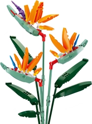 Sluban Flowers Kongestrelitzia