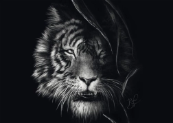 Schmidt puslespil Tigerens vildskab – legemliggjort frihed 1000 brikker