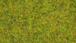 Statisk græs Sommereng 2,5 mm