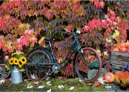 Puslespil Efterårets magi 1000 brikker PIATNIK