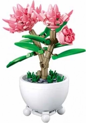 Sluban blomst i urtepotte – lyserøde pæoner