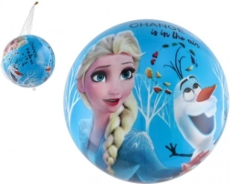 Bold med motiv fra Frozen II 23 cm