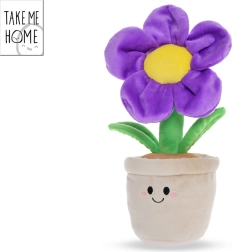 Lilla plysblomst i potte Take Me Home 30 cm