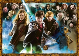 Harry Potter 1000 brikker