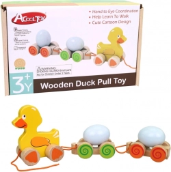 Træktøjsand Kačka