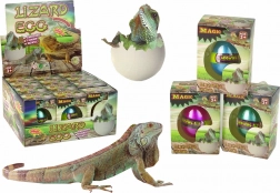 Magisk klækkende æg – voksende firben 6 cm