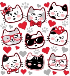 Strygemærker med vaskebjørne til tøj