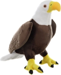 stor plysbald eagle