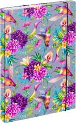 Mapper til A4-skolehæfter Kolibri BAAGL