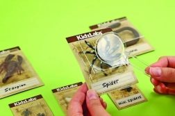 Uddannelsessæt udgravninger – småbiller