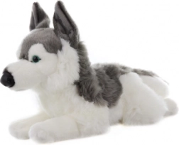Plysbamse husky 43 cm