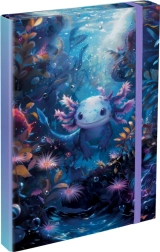 Mapper til hæfter A4 Axolotl