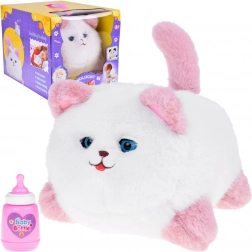 Interaktiv kat Pusia