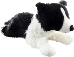 Plysbamse hund border collie 70 cm