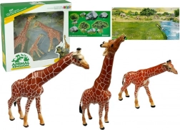 Pædagogiske giraffigurer Familie 3 stk + Afrika-baggrund