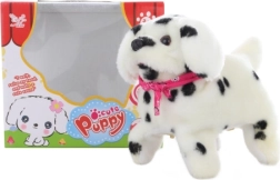 Gående dalmatinerhund med saltomortaler