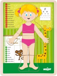 Woody træ dobbeltsidet puslespil menneskekrop - pige