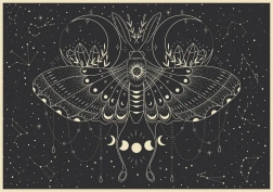 Puzzle Galaxy: Månesommerfugl 500 brikker