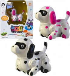 Hunden kører på malet streg