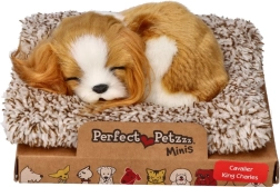 Sovende Cavalier King Charles-hvalp Perfect Petzzz