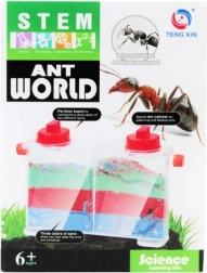 kreativt sæt – myrernes verden