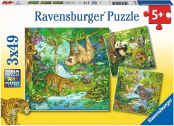RAVENSBURGER puslespil Dyr i junglen 3x49 brikker