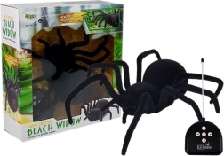 Stor, lodden edderkop med fjernbetjening Black Widow