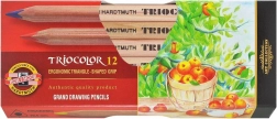 Trekantede farveblyanter Triocolor 12 stk KOH-I-NOOR