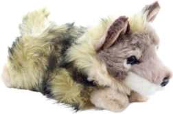 Plysbjørn Coyote Eco-Friendly