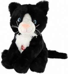 Plysbamse-kat med lyd 20 cm