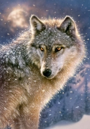 puslespil 500 brikker lone wolf