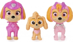Figurer Paw Patrol - 3 generationer Skye