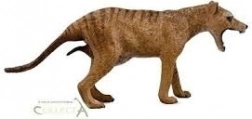 Collecta thylacine – hun (tasmansk tiger)