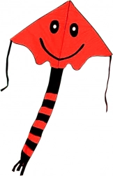 Flyvende drage med smil 80 × 60 cm