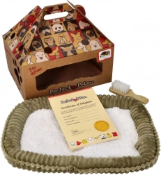 Perfect Petzzz åndende bernersennenhund til adoption