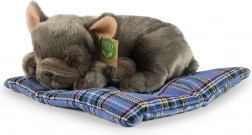 Rappa plysbamse hund liggende MILJØVENLIG