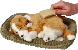 Åndedrættende border collie-hvalp til adoption