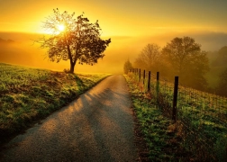 Ravensburger puslespil Morgen i gyldne stråler 1000 brikker