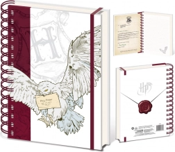 Harry Potter ringblok Special Delivery