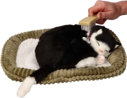 Adoptér mig – åndende sort-hvid kattekilling