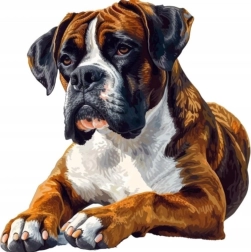 Diamantmaling boxer 30 × 40 cm