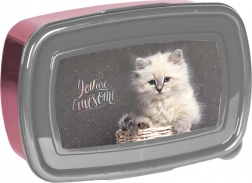 Paso madkasse med kat 750 ml