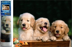 Diamantmosaik - Tre hunde