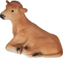 Mojo Animal Planet Jersey ko Jersey, liggende