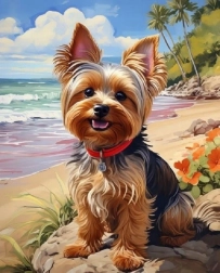 Norimpex Mal efter tal Yorkshire på stranden 40 × 50 cm