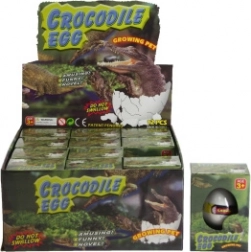 Æg med voksende krokodille til vand